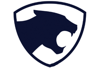 公司簡(jiǎn)介廣告